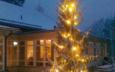 Pikkujoulut / joululounas tai jouluillallinen Calliolassa