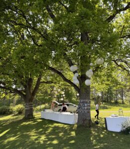 Häiden vastaanotto Calliolan pihalla tammien alla, paperilyhdyt ja juomapöytä.