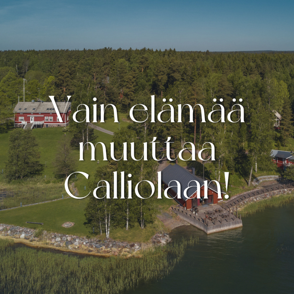 Vain elämää -ohjelma muuttaa Calliolaan. Ilmakuva Calliolasta, Raaseporin saaristosta.