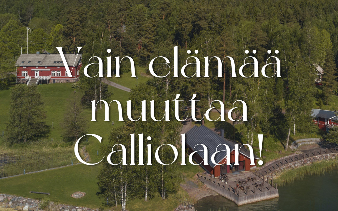Vain elämää -ohjelma muuttaa meille Calliolaan!