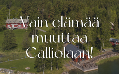 Vain elämää -ohjelma muuttaa meille Calliolaan!